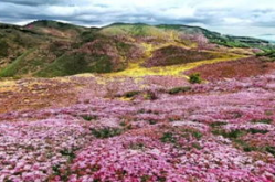 禄劝小网红,崛起于乡野的互联网新星