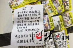 广州宫夫人私密招聘吗,揭秘高端美容行业的神秘面纱