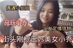 小姐姐 bt,揭秘热门影视资源分享平台的魅力与挑战